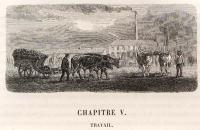 Lefour, Pierre-Aristide-Adolphe - Description des espèces bovine, ovine et porcine de la France. Tome I. Espèce bovine. Race flamande - 1882