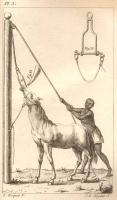 Lompagieu Lapole, Jean - Observations relatives  la santé des animaux de Saint-Domingue, par M. Jean Lompagieu Lapole, ... - 1791