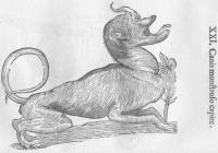 Aldrovandi, Ulysse - Monstrorum historia - 1642