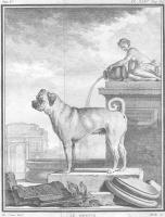Buffon, Georges-Louis - Histoire naturelle générale et particulière - 1755