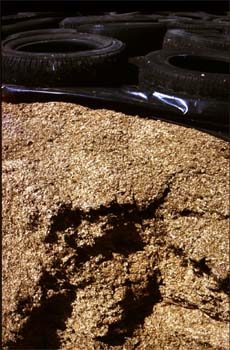 silo de drêches de brasserie (Photo Denis Grancher)