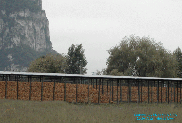 Silo cage de maïs, région de Grenoble, France, 2002