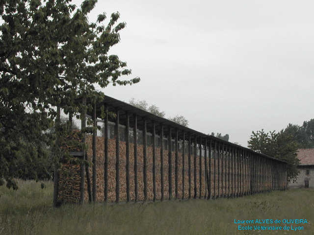 Silo cage de maïs, région de Grenoble, France, 2002