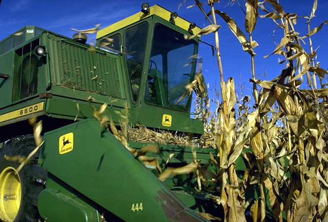 rcolte du mas grain en grains aux Etats Unis