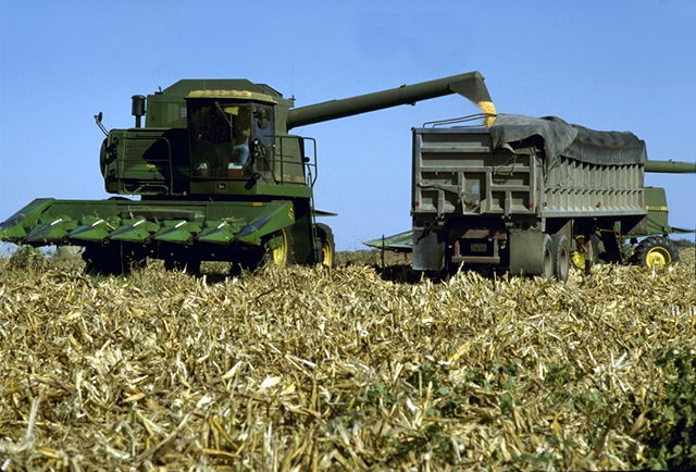 Rcolte du mas grain - Kansas/Etats Unis