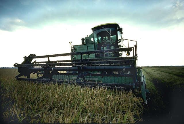 moisson du riz aux Etats-Unis