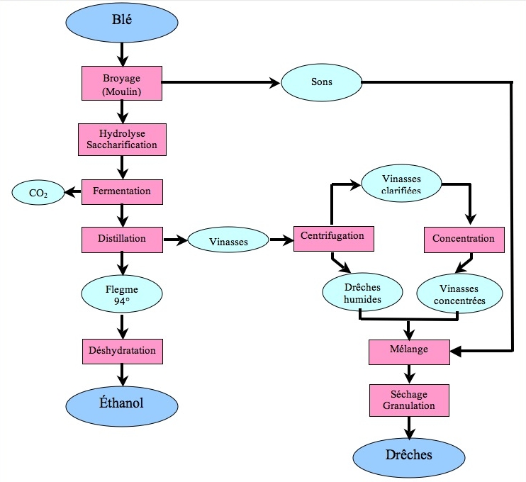 Diagramme du procédé de fabrication du bioéthanol selon le process de type 2 ou B